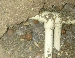 望谟卫生间测漏